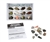 Metamorphic Rock Collection