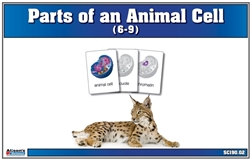 Parts of an Animal Cell Nomenclature Cards 6-9