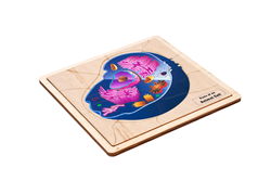 Parts of an Animal Cell Puzzle with Nomenclature Cards (6-9)