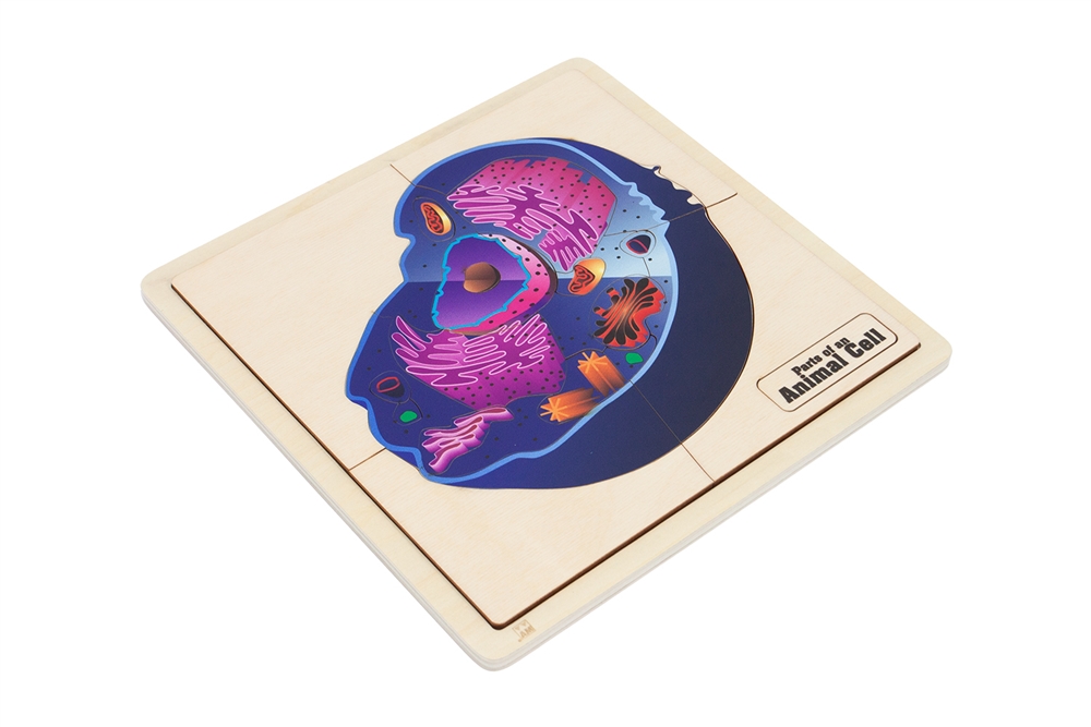 Parts of a Animal Cell Puzzle