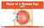 Parts of a Human Eye (6-9)