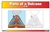 Parts of a Volcano (Nomenclature Cards)
