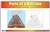 Parts of a Volcano Nomenclature Cards (6-9)