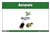 Animals Nomenclature Cards
