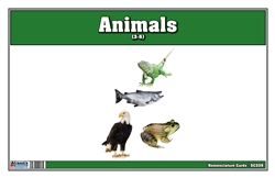 Animals Nomenclature Cards (Printed)