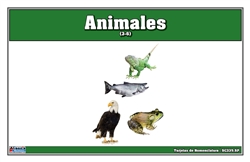 Tarjetas de Nomenclatura de Animales (Printed)