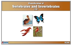 Classification of Vertebrates & Invertebrates Nomenclature Cards (Printed)