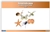 Invertebrates Classification Nomenclature Cards (Printed)