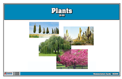 Plants Nomenclature Cards (Printed)