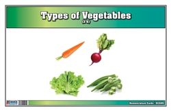 Types of Vegetables Nomenclature Cards (Printed)