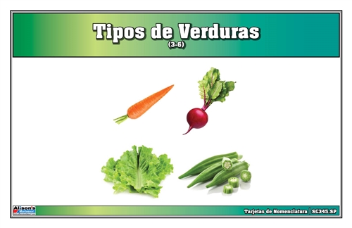 Types of Vegetables Nomenclature Cards (Spanish)