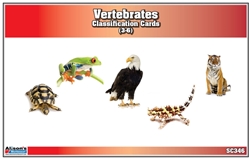 Vertebrates Classification Nomenclature Cards (Printed)