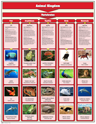 Animal Kingdom Chart with Cards: Vertebrates