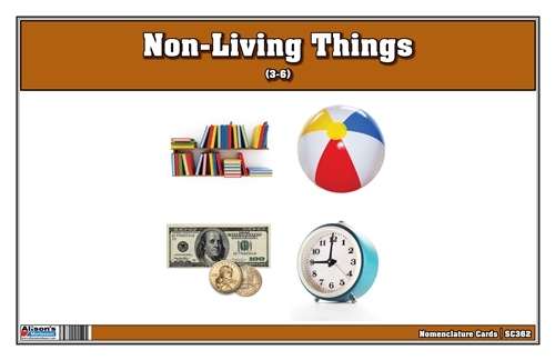 Non-living things nomenclature cards