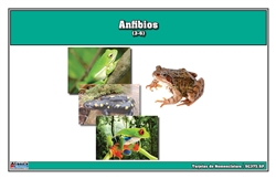 Tarjetas de Nomenclatura de Anfibios (Printed)