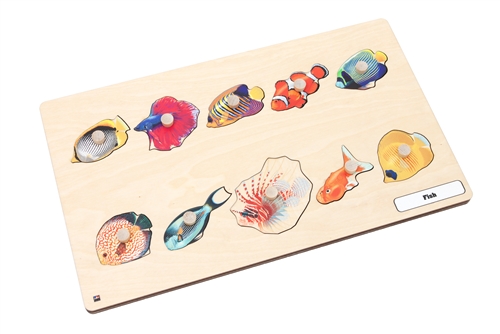 Types of Fish Puzzle