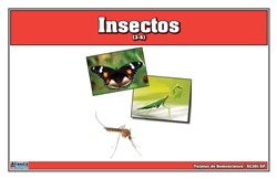 Tarjetas de Nomenclatura de Insectos (Printed)