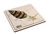 Parts of a Mollusks Puzzle with Nomenclature Cards 6-9