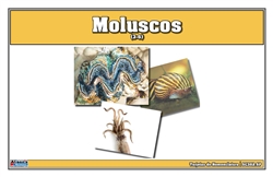 Tarjetas de Nomenclatura de Moluscos (Printed)