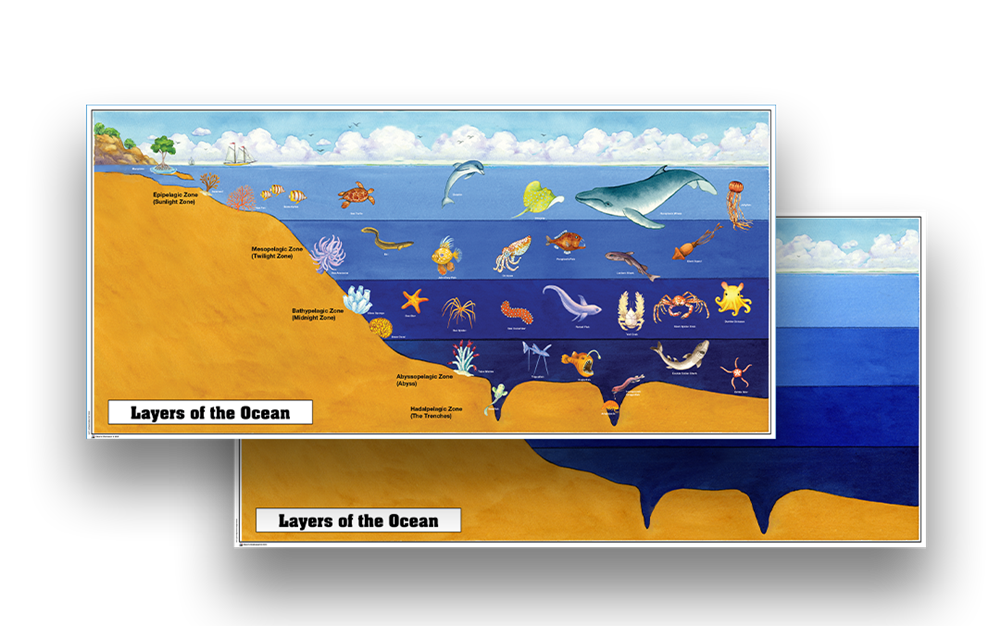 Montessori Materials: Layers of the Ocean Chart