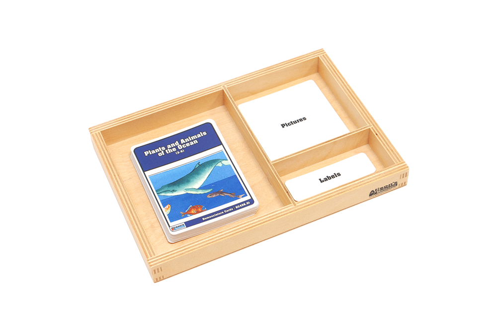 Layers of the Ocean Nomenclature Cards (3-6)