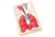 The Respiratory System Puzzle with Nomenclature Cards (3-6)