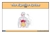 The Digestive System 3 Part Cards (3-6)