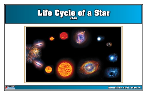 Life Cycle of a Star Nomenclature Cards (3-6)