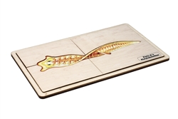 Parts of a Platyhelminth Puzzle with Nomenclature Cards (6-9)