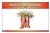 Parts of a Sea Anemone Nomenclature Cards (6-9)