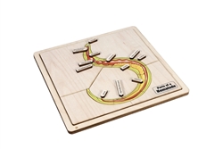 Parts of a Nematode Puzzle with Nomenclature Cards (3-6)