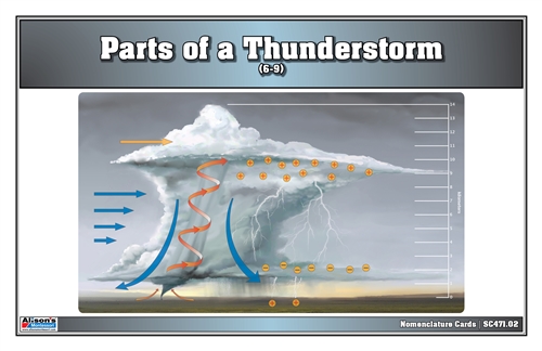 Parts of a Thunderstorm (Nomenclature Cards) (6-9)