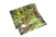 Layers of a Rainforest Chart