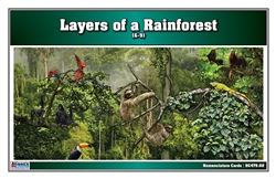 Layers of a Rainforest (Nomenclature Cards) (3-6) (Printed)