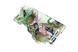 Montessori Materials: Life in a Pond Chart