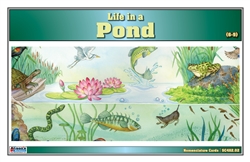 Life in a Pond Nomenclature Cards (6-9) (Printed)