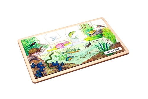 Montessori Materials: Life in a Pond Puzzle