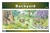 Life in a Backyard Nomenclature Cards (6-9) (Printed)