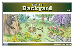 Life in a Backyard Nomenclature Cards (6-9) (Printed)