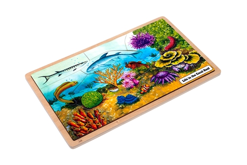 Montessori Materials: Life in the Coral Reef Puzzle