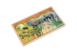 Life in a Cave Puzzle
