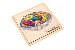 Parts of a White Blood Cell Puzzle with Nomenclature Cards (3-6) (Printed)