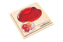 Parts of a Red Blood Cell Puzzle with Nomenclature Cards (6-9) (Printed)