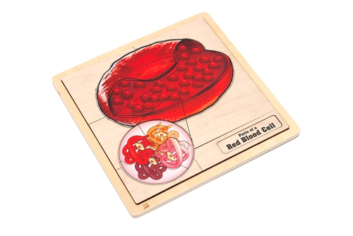 Parts of a White Red Cell Puzzle
