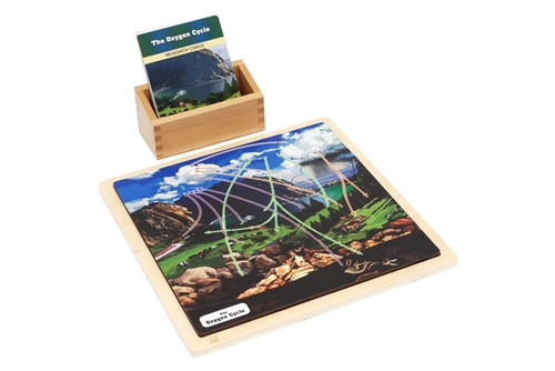 The Oxygen Cycle Puzzle - Complete Set