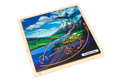 The Phosphorus Cycle