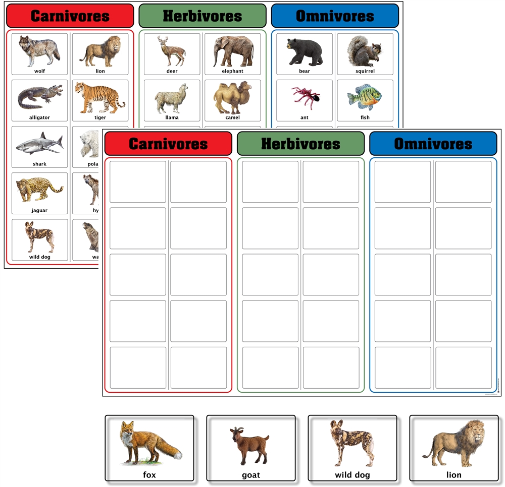 Carnivores, Herbivores, and  Omnivores Charts with Cards