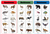 Carnivores, Herbivores, and  Omnivores Control Chart