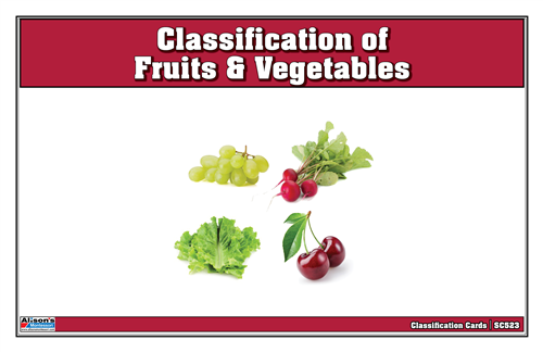 Classification of Fruits & Vegetables (Printed)