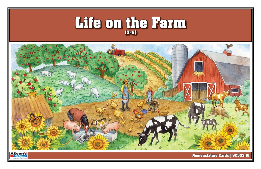 Life on the Farm Nomenclature Cards (3-6) (Printed)
